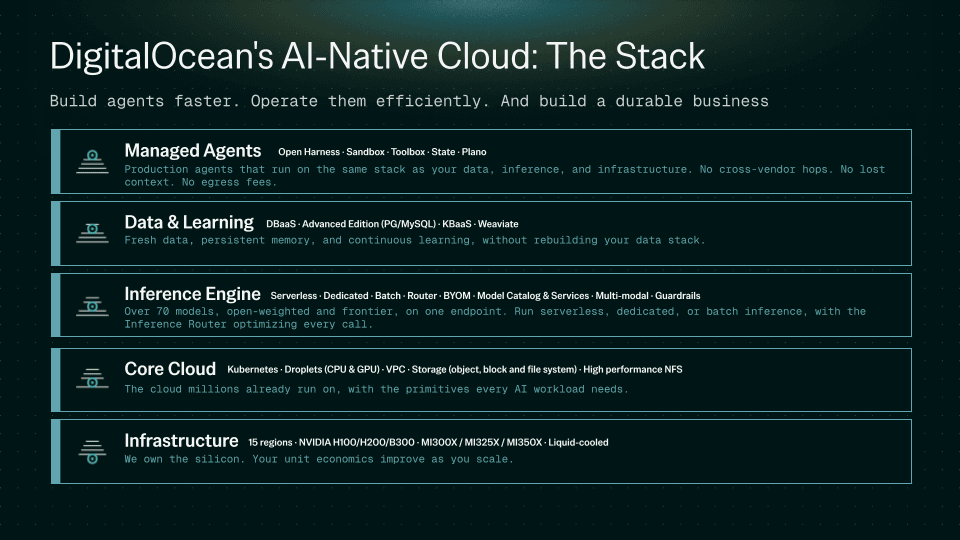 Paddy Blog Image 2.png