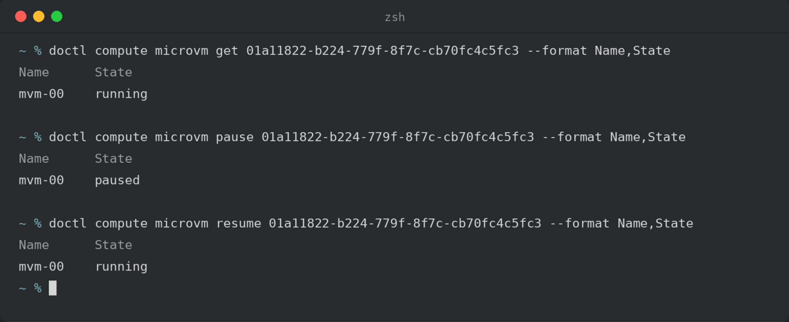 MicroVM 暂停