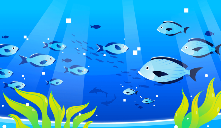 Claude Opus 4.6 有什么新特性？如何与Claude Code结合开发？