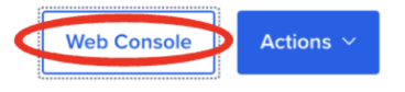 web console.png